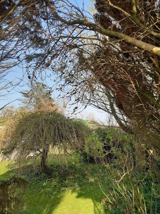 Apartment Eden House Retreat Whitland
