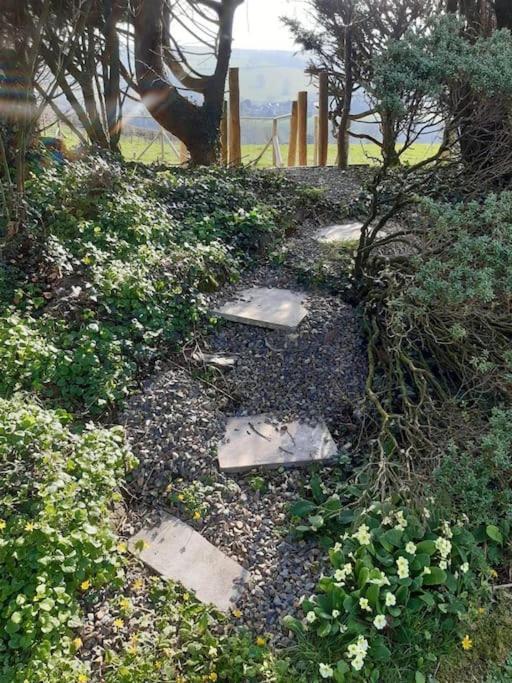 Apartment Eden House Retreat Whitland